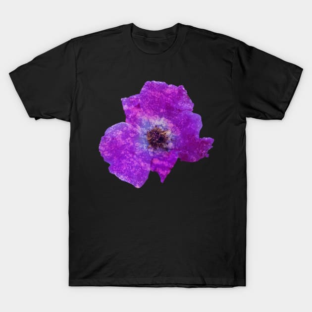 Purple rock flower T-Shirt by Geomhectic